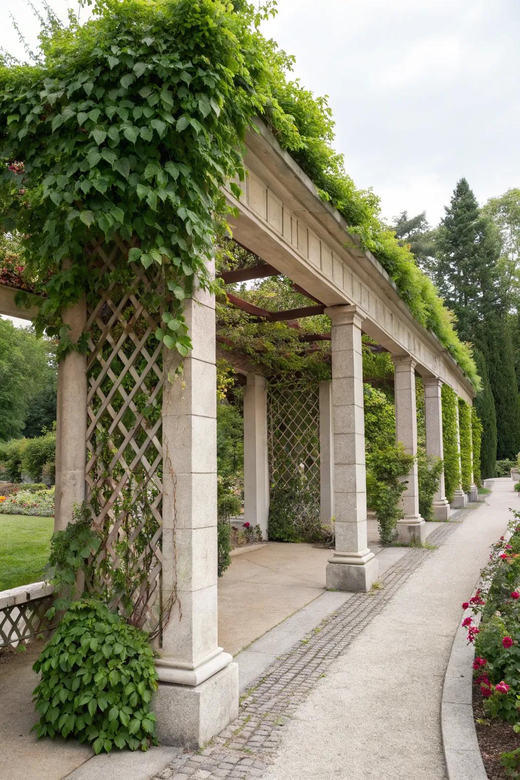 Climbing plants on a trellis create a natural cover.