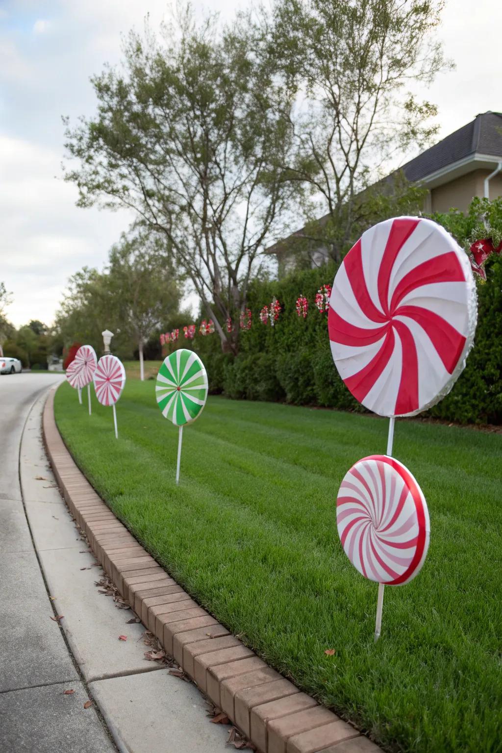 Peppermint swirls add a colorful and playful vibe to your yard.