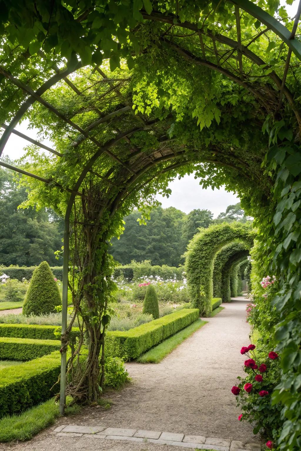 A beautiful garden arch creating a natural entryway.