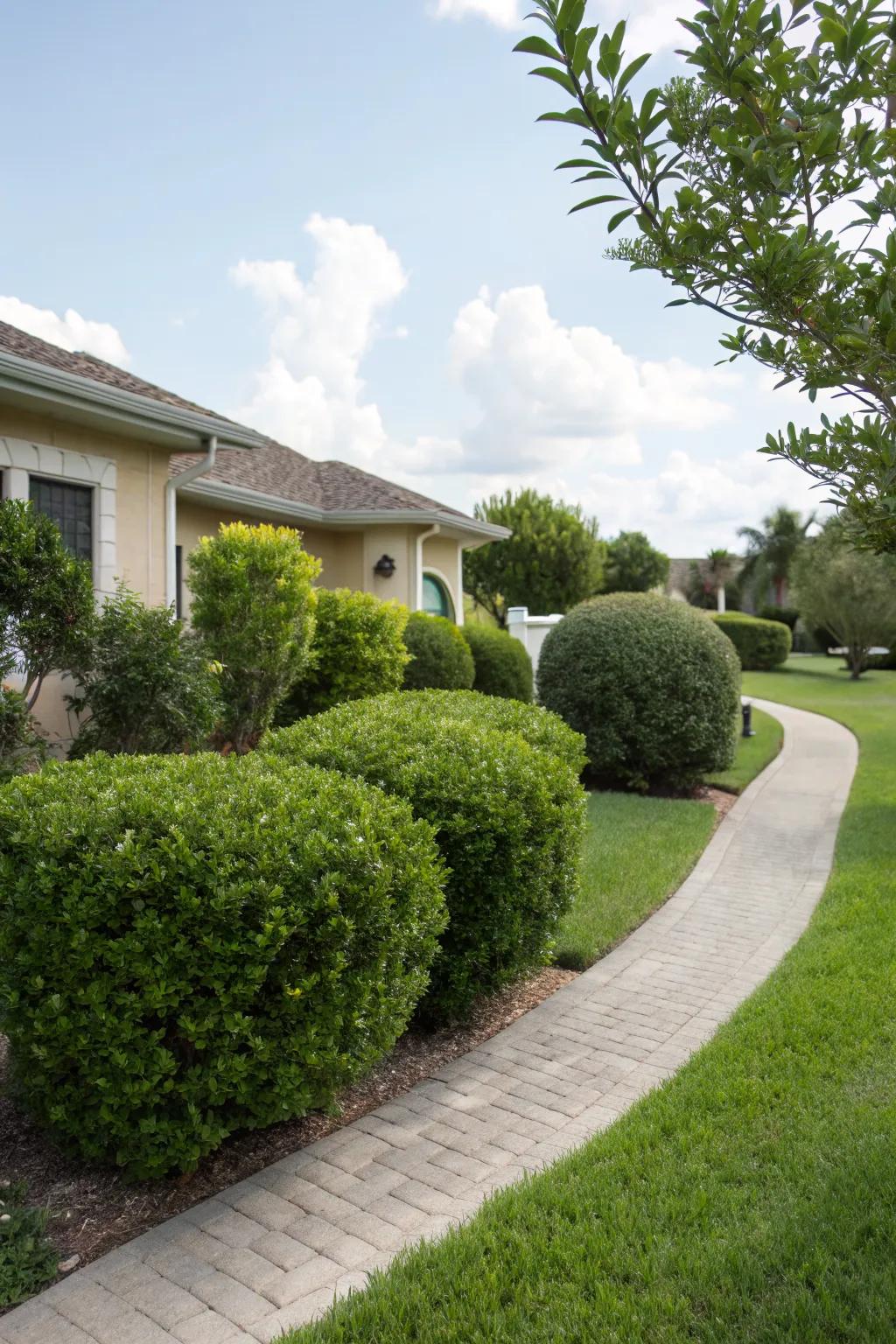 Select low-maintenance bushes for easy care and beauty.