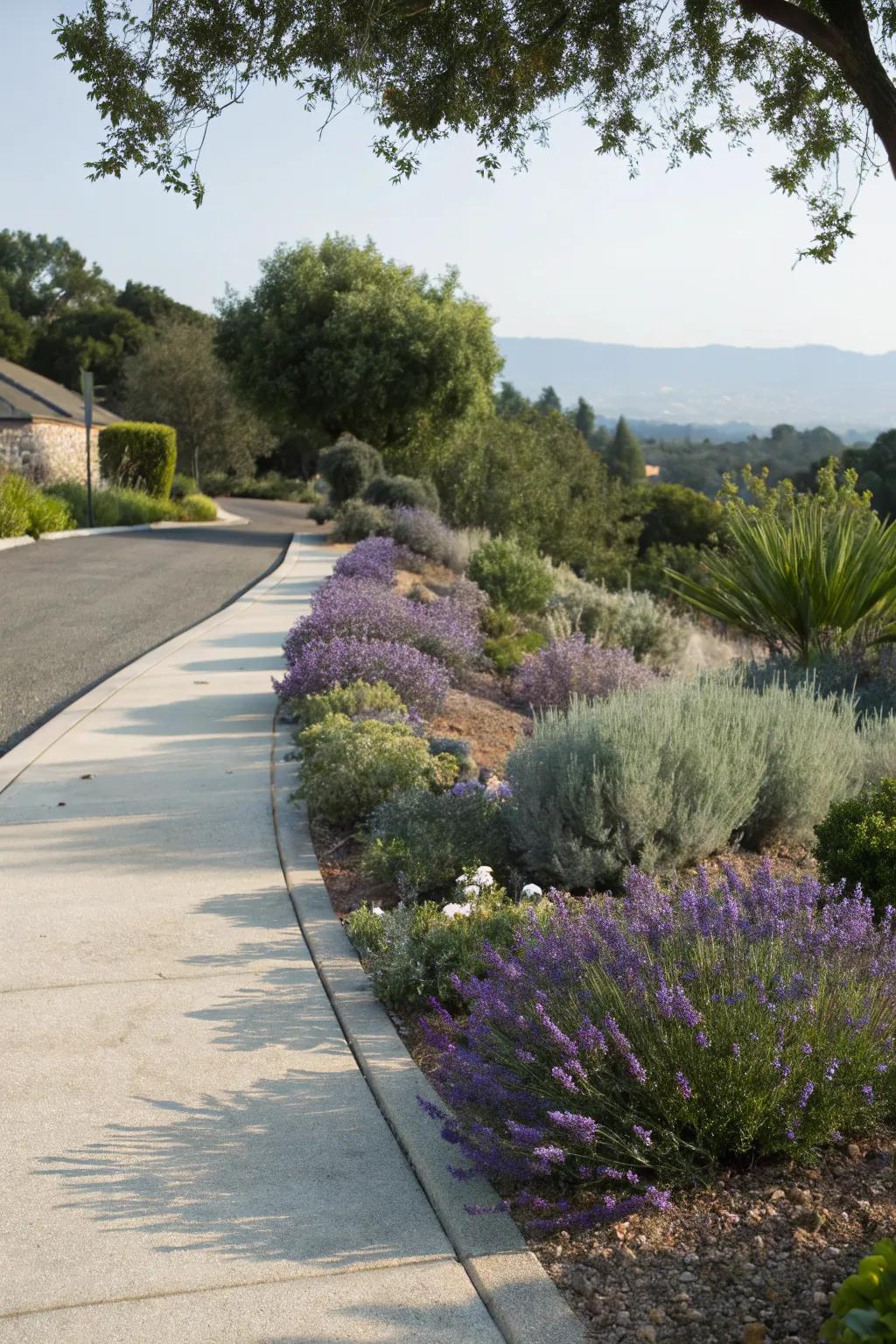 Drought-tolerant plants ensure a low-maintenance, green entrance.