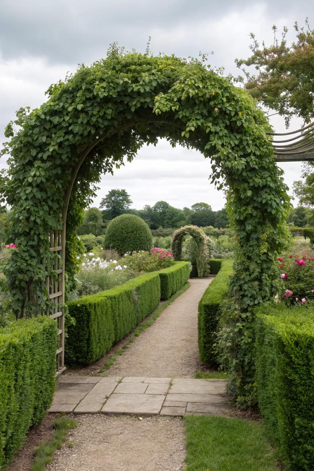 A hidden garden arch creating a secret entrance.