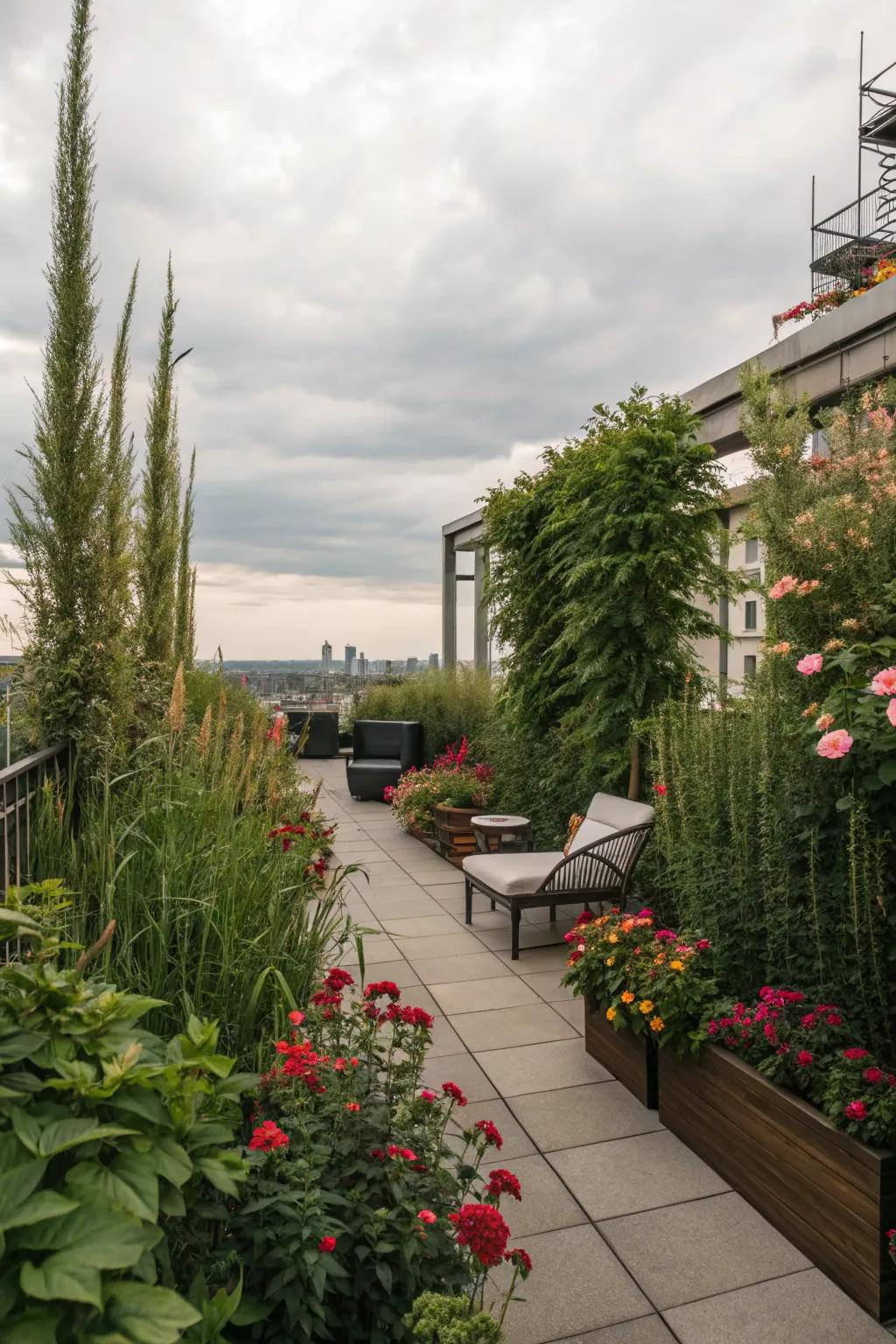 Tall plants providing privacy on a rooftop garden.