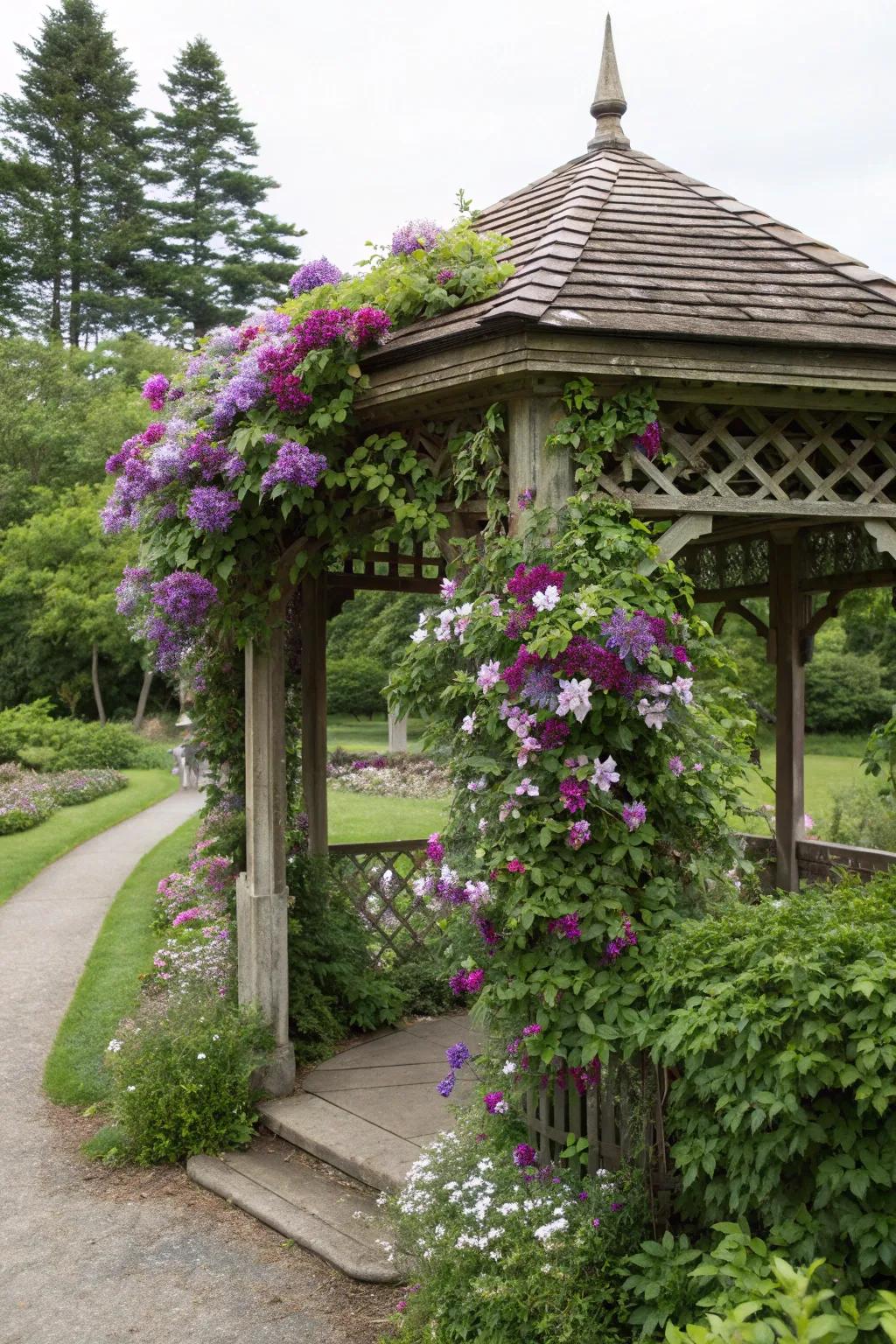 Clematis brings a cascade of color to this beautiful gazebo.