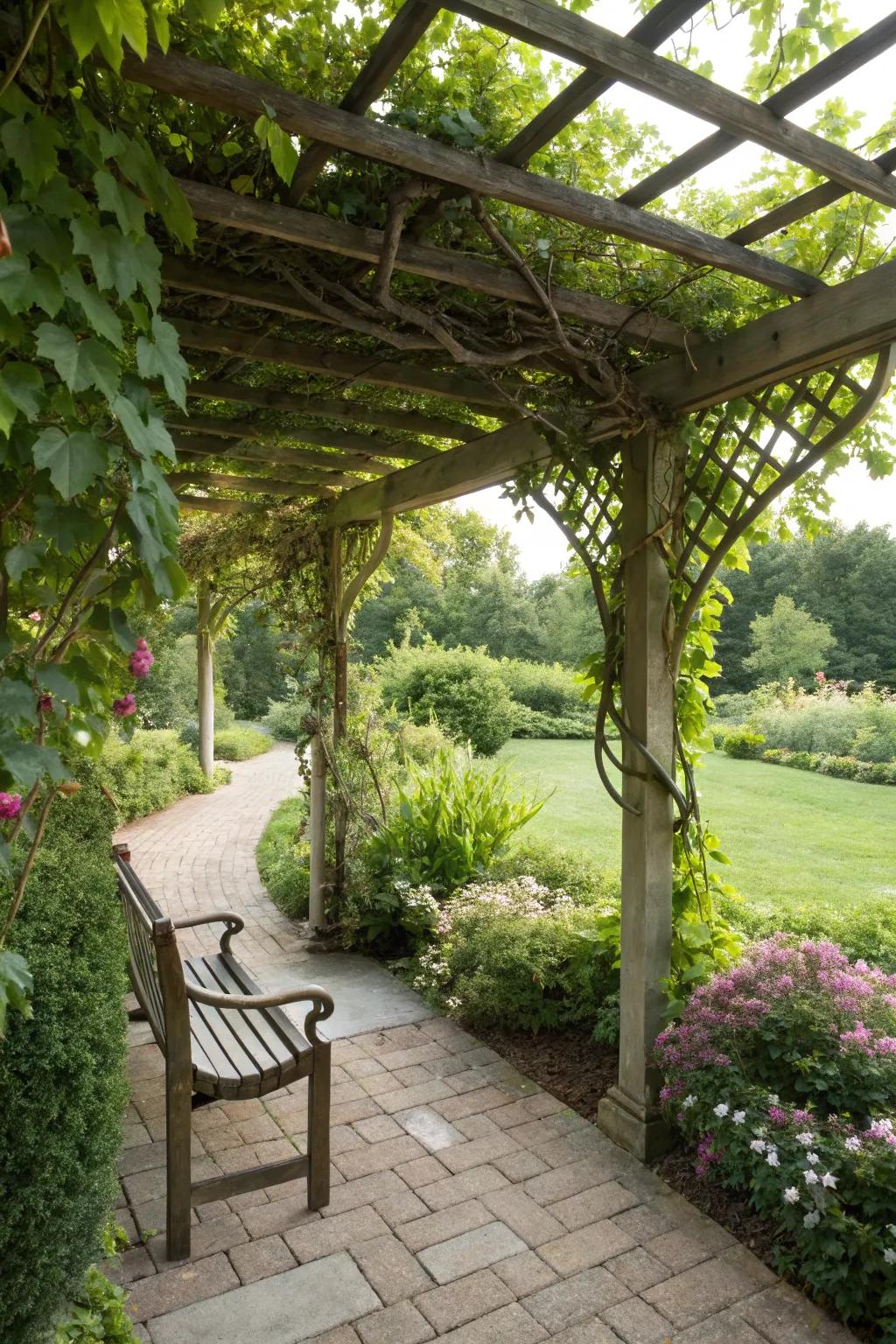 A pergola with climbing plants transforms a septic tank area into a garden focal point.