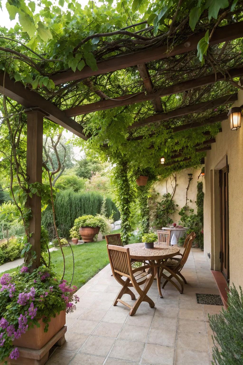 A plant-covered trellis offers natural beauty and shade.
