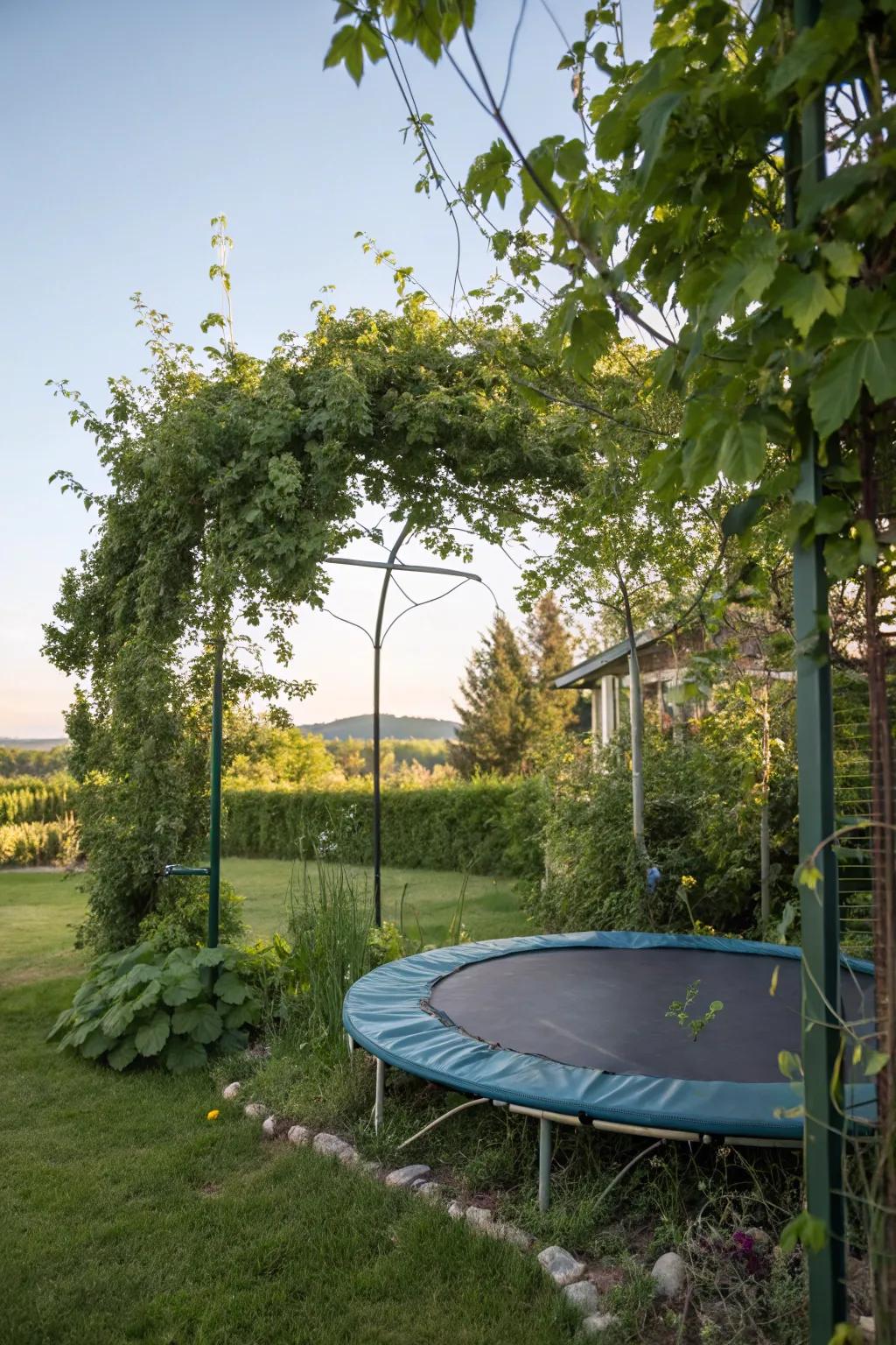 Vertical elements add depth and elegance to the trampoline area.