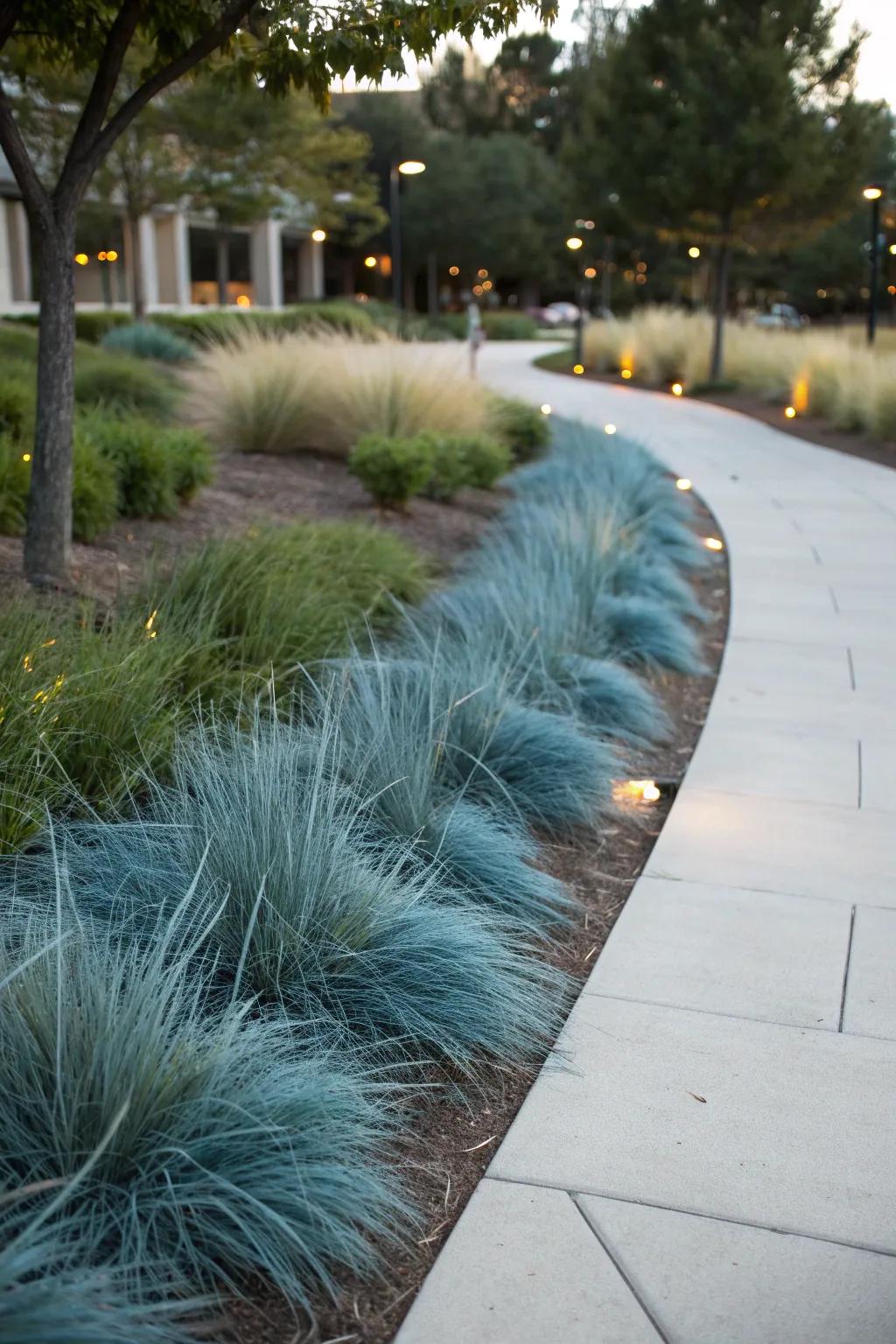 Blue fescue provides a chic, low-maintenance accent.