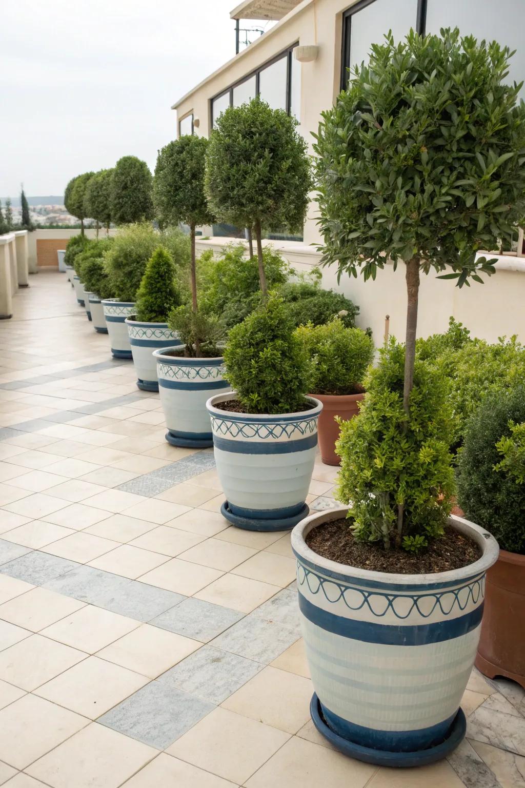Pots and plants in perfect color harmony on a patio.