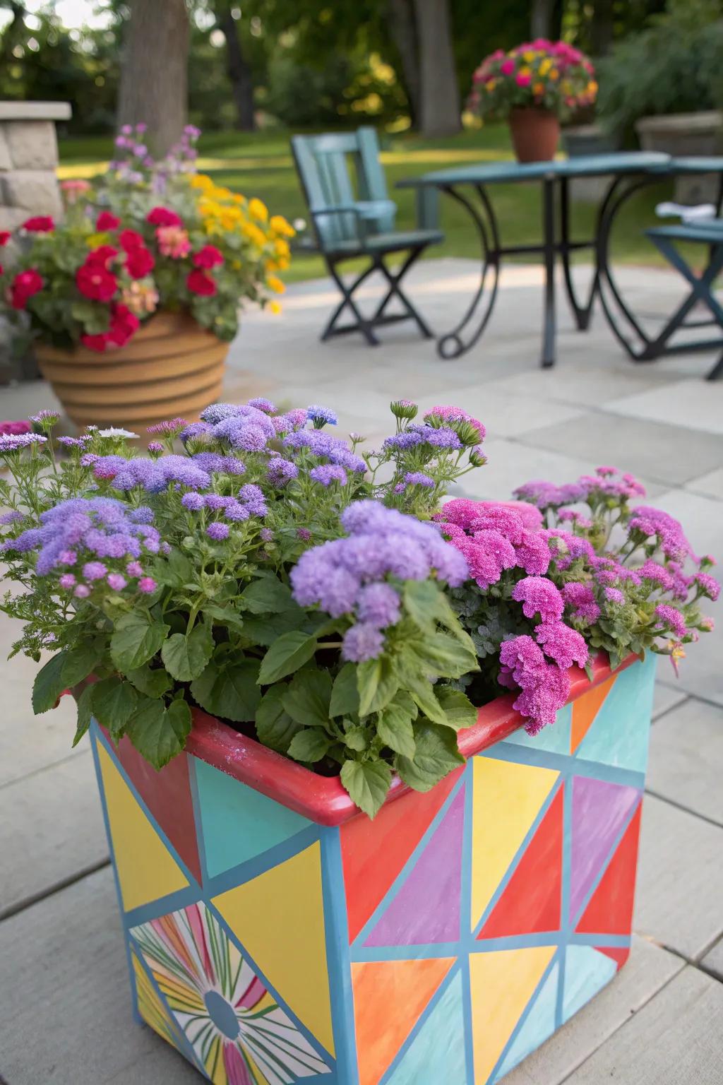 Ageratum: Beautiful blooms with mosquito-repelling properties.
