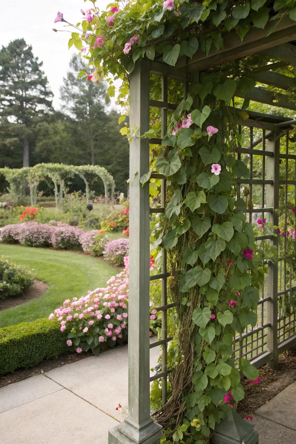A charming trellis with climbing plants providing soft privacy in the garden.