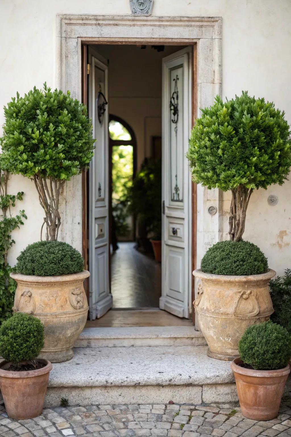 Matching potted plants create a harmonious look.