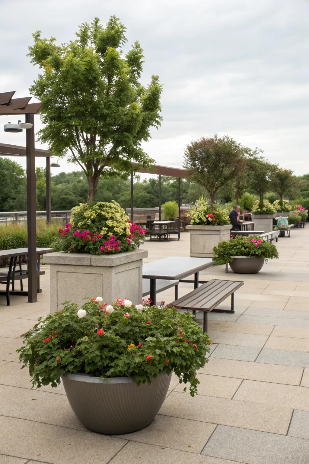 Planters add privacy and define outdoor spaces.