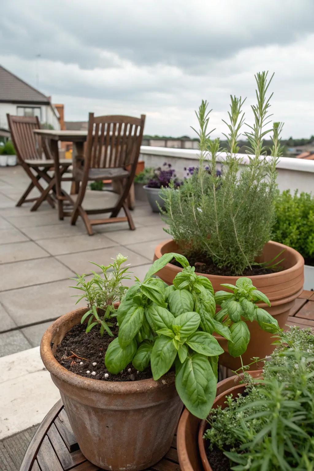 A small herb garden in pots provides fresh herbs right at home.