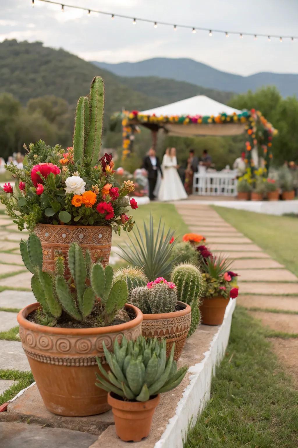 Cacti and succulents add a unique, eco-friendly touch.