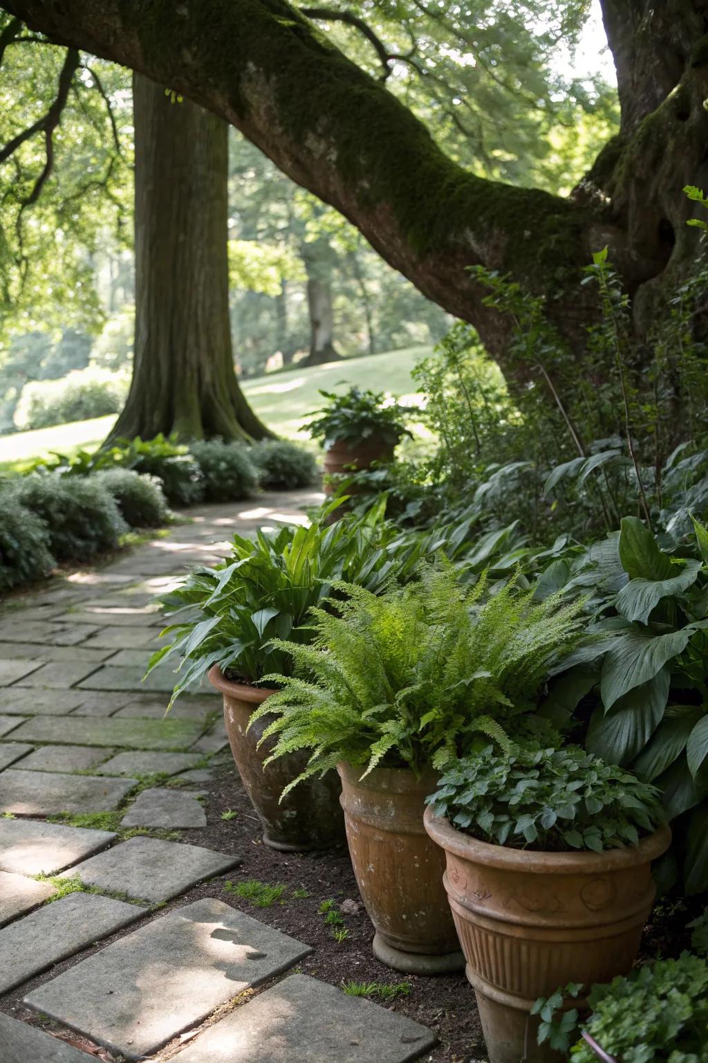 Brighten up shady corners with the right plants.