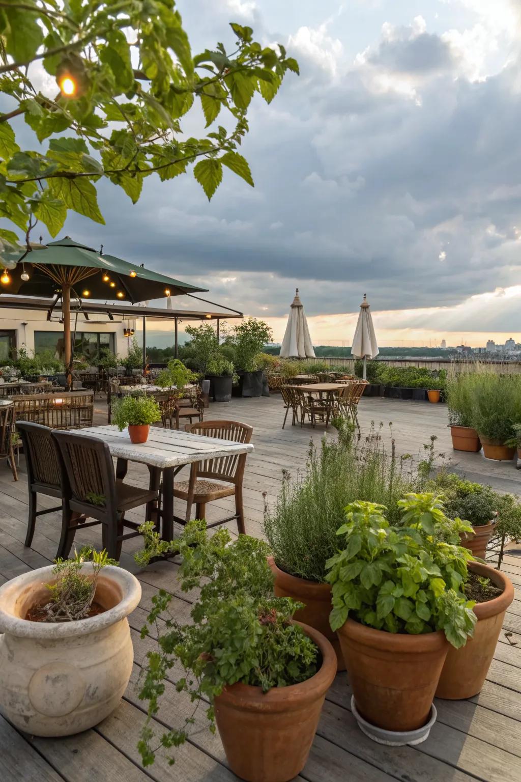 Herbs add beauty and fragrance to the dining area.