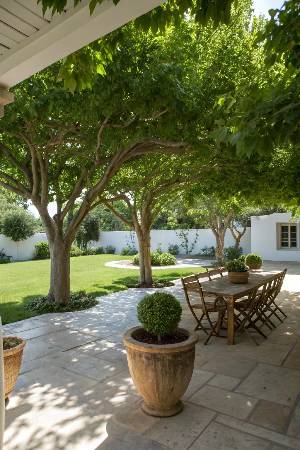 Potted trees add natural beauty and shade.