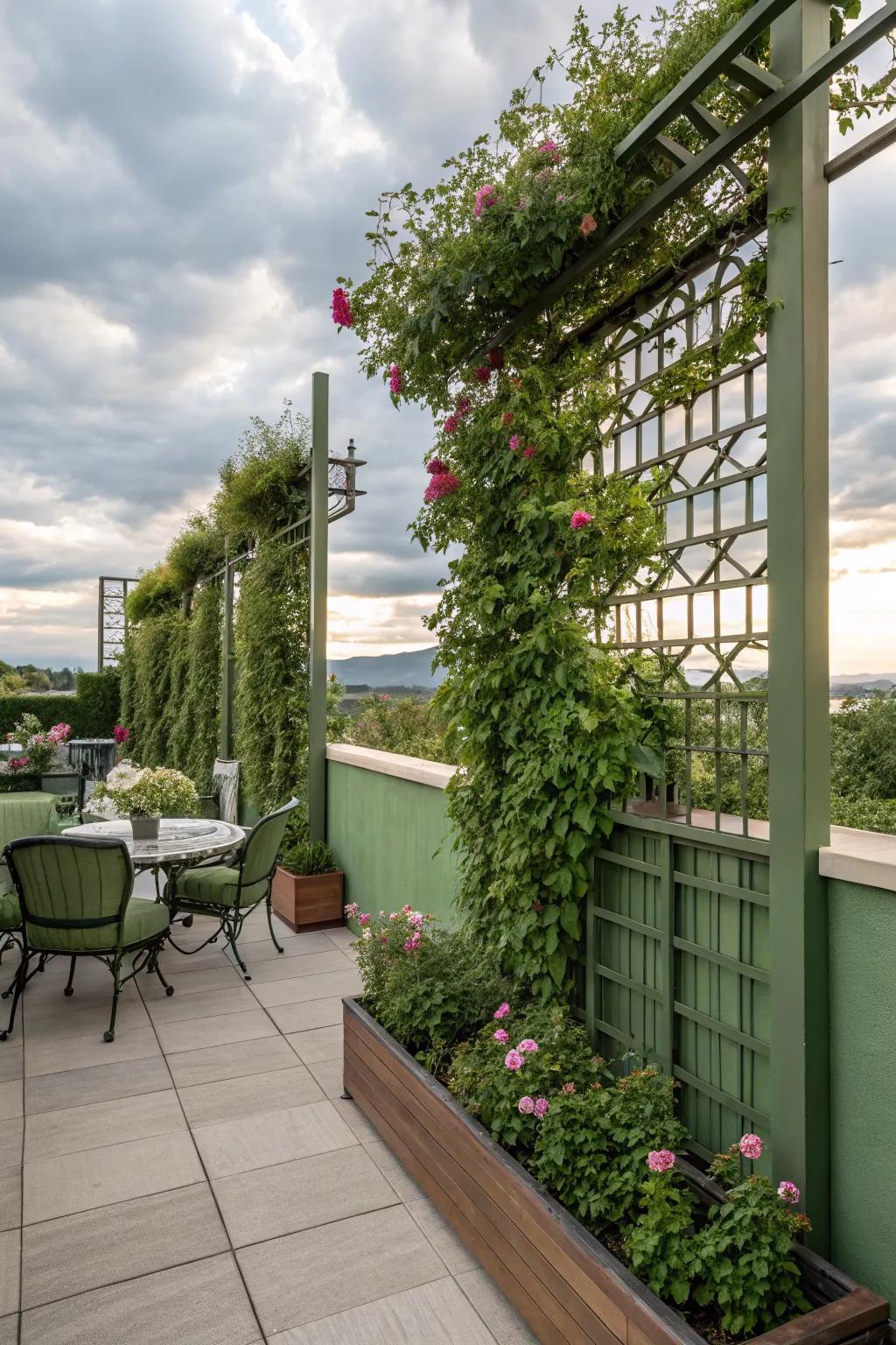 A patio with lush vertical planting providing privacy.