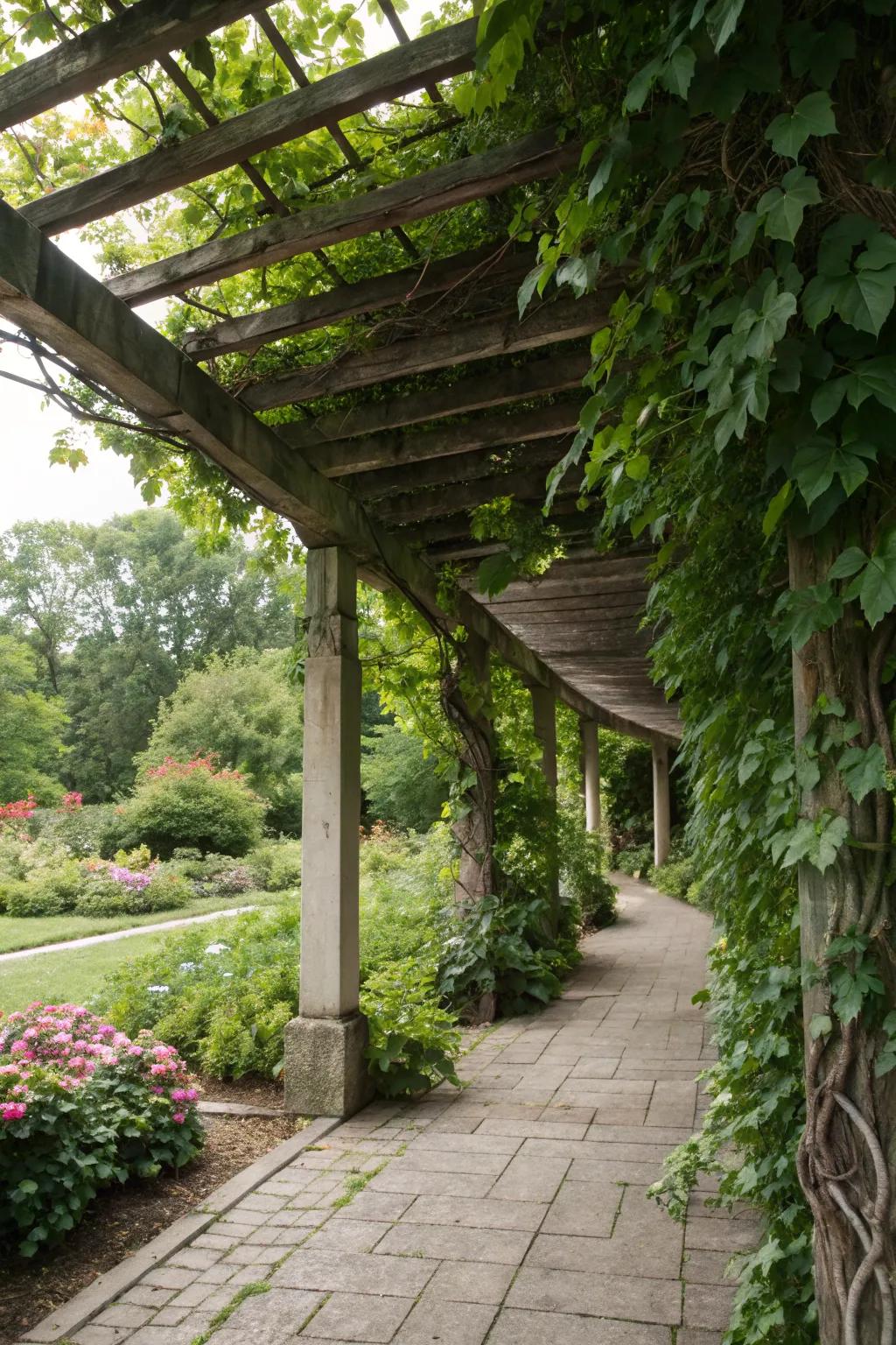 Trellis and climbing plants create a naturally beautiful privacy wall.