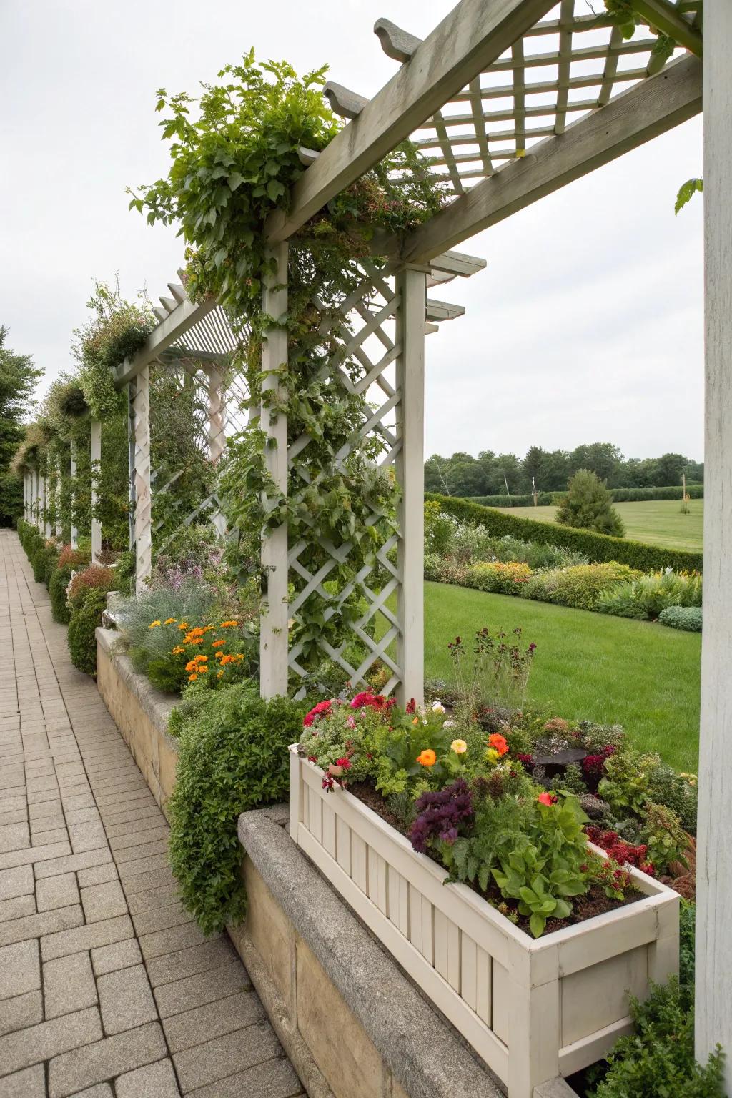 Planter boxes add vitality to a pergola with lattice.