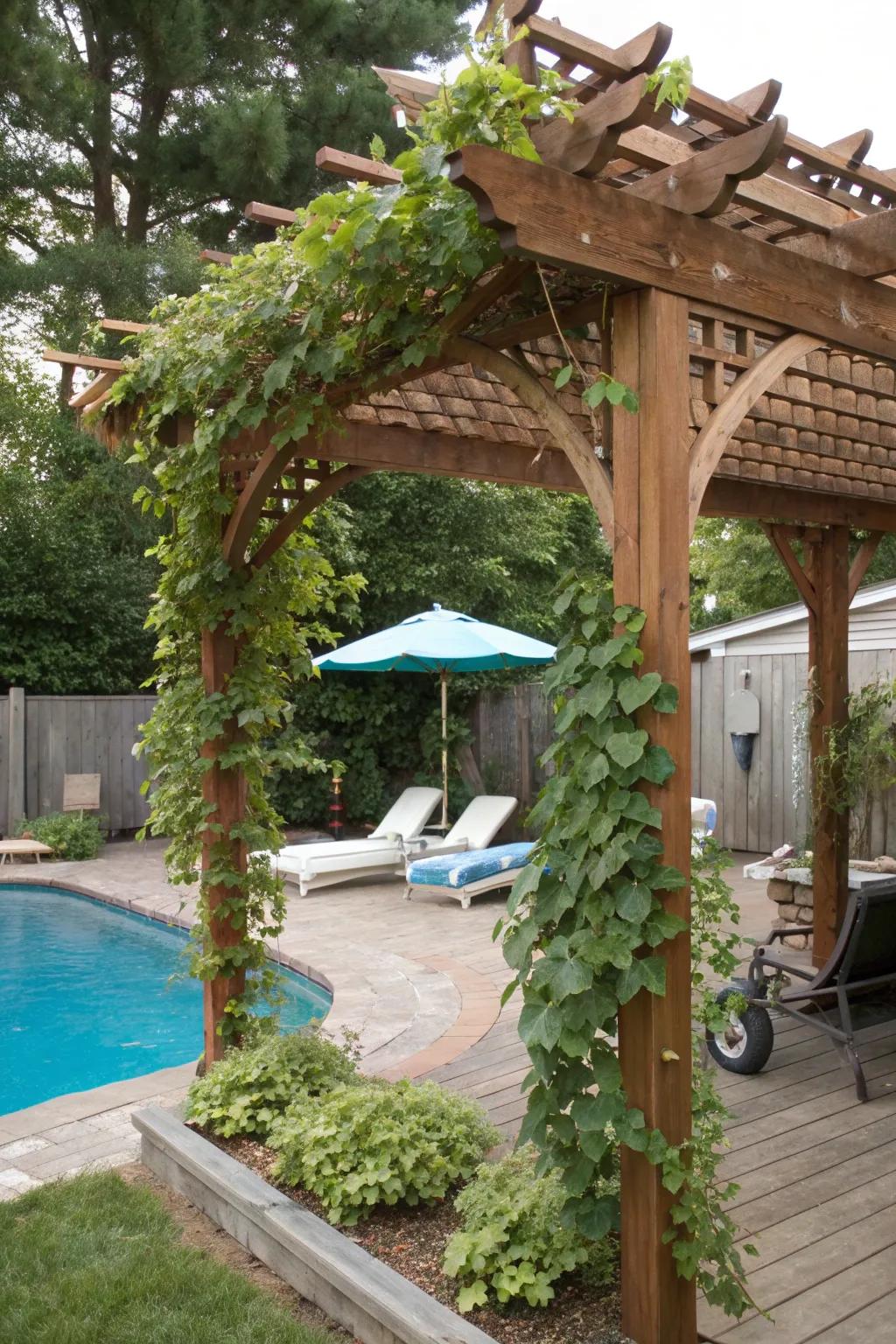 Trellises with vines create a dynamic, green shade solution.