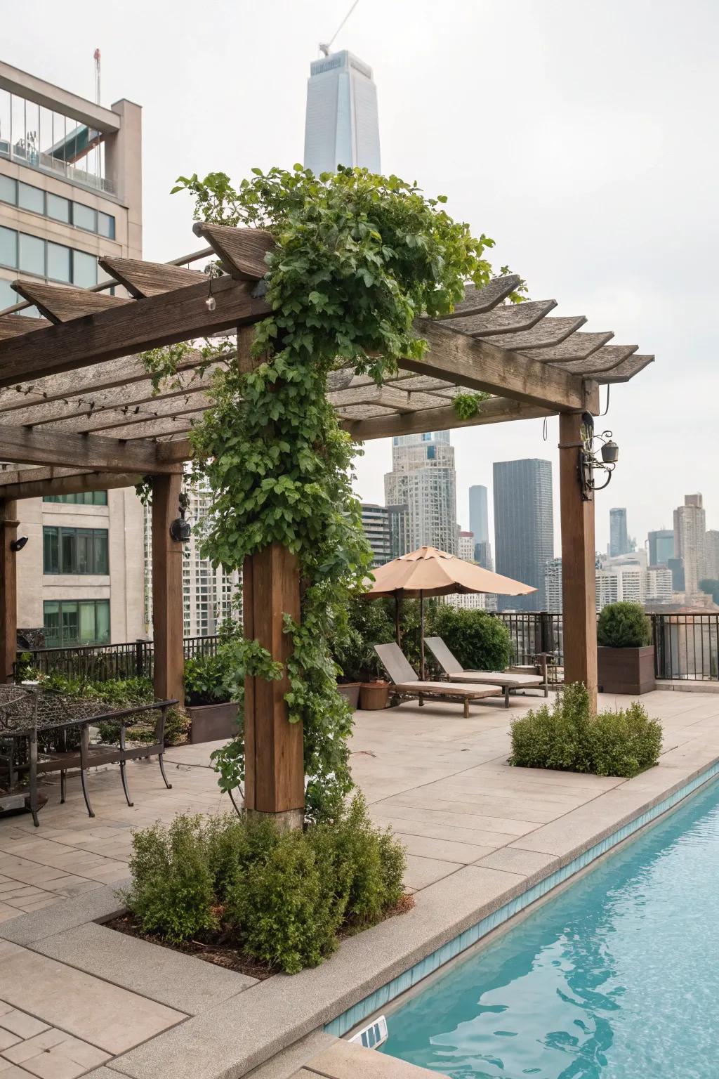 A rooftop pergola offering shade and style by a rooftop pool.