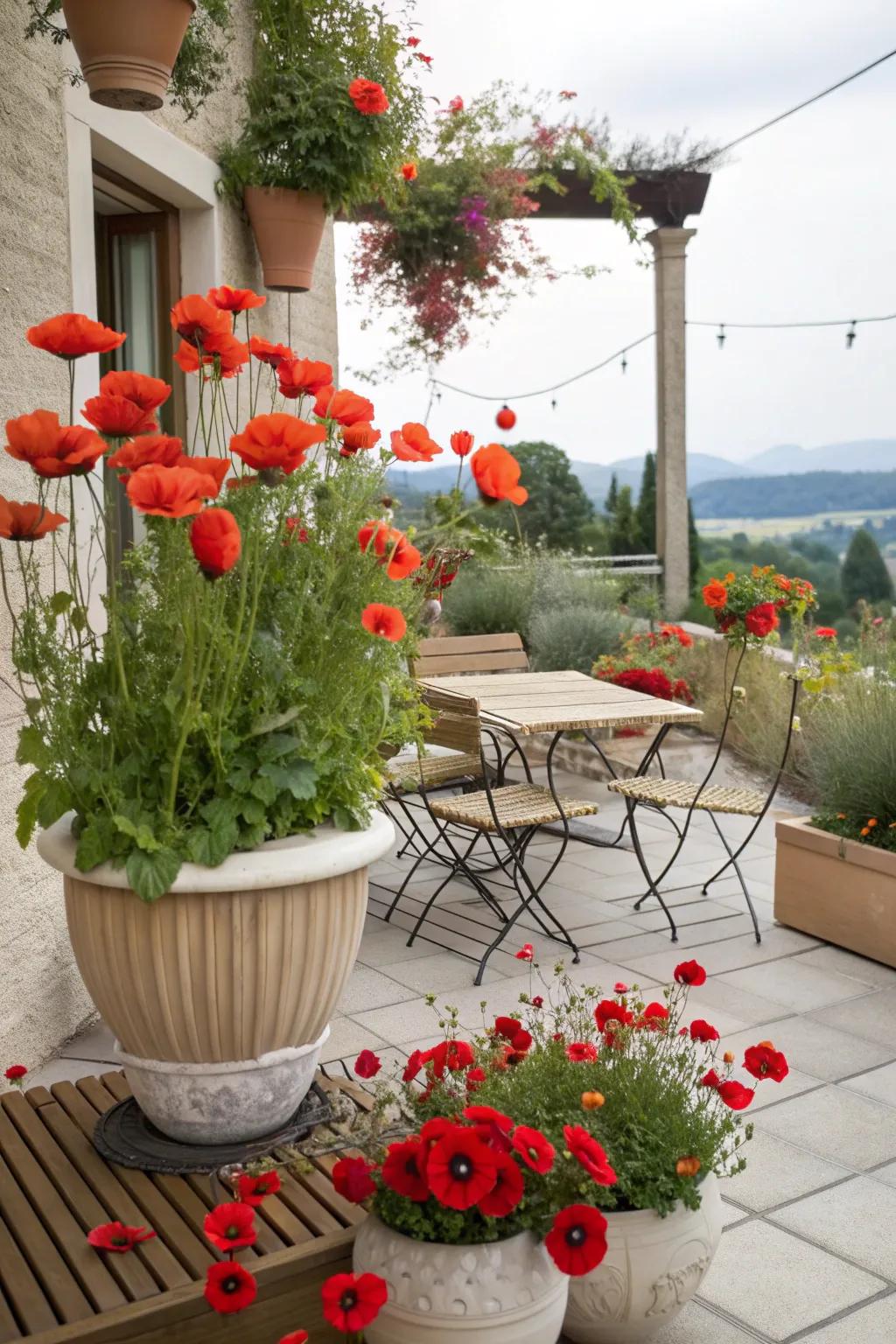 A charming patio adorned with decorative pots filled with poppies.