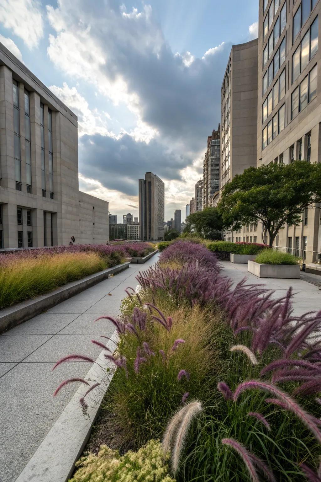 An urban garden oasis brought to life with purple fountain grass.