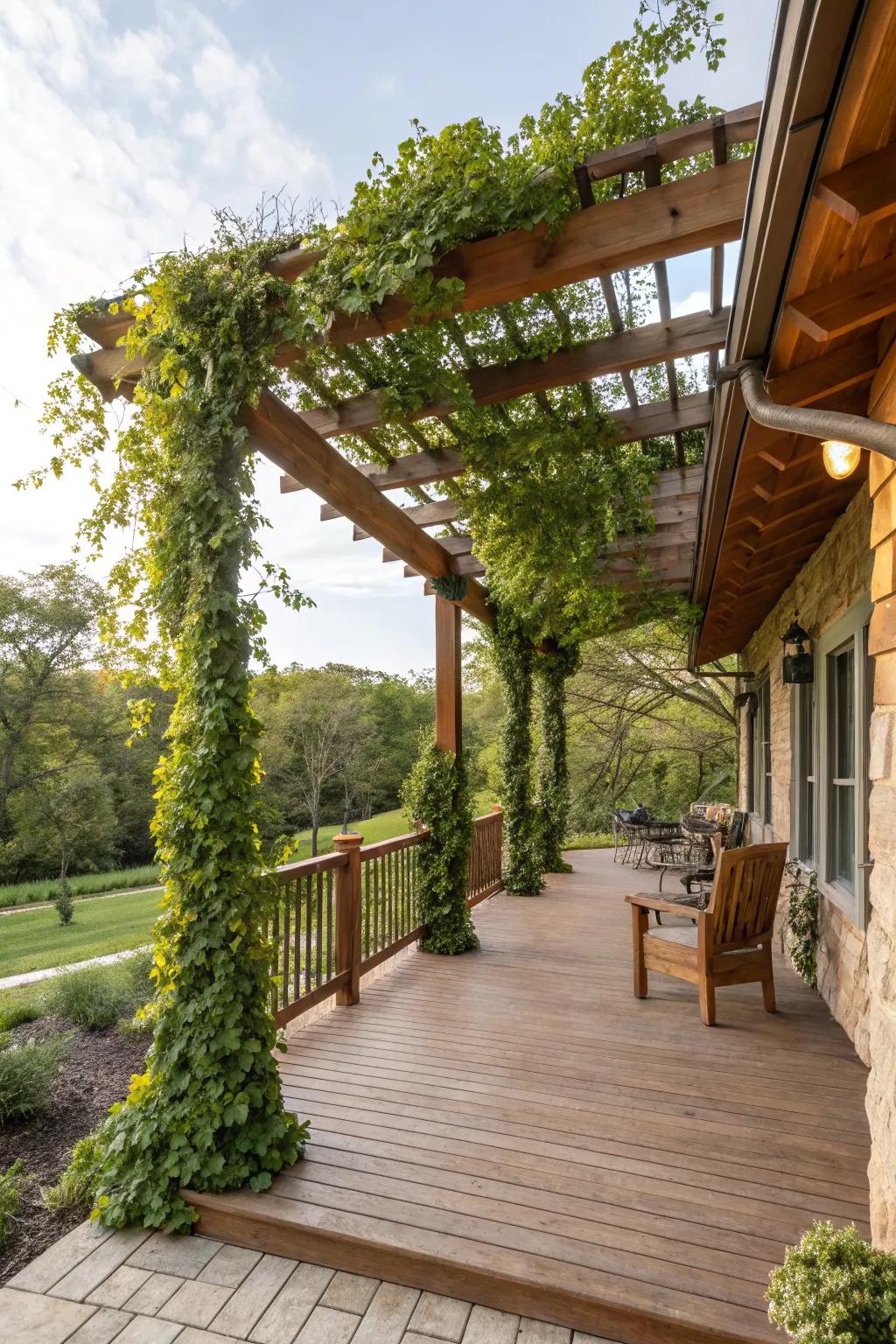 A pergola adorned with vines offers shade and style to the porch.