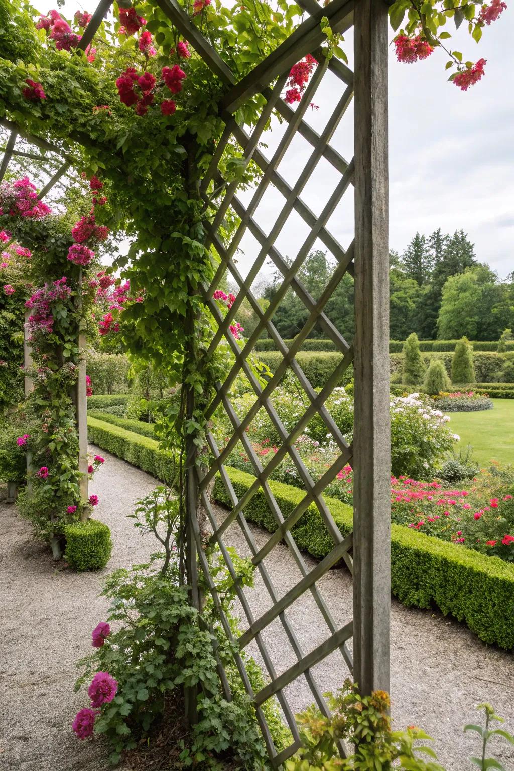 A vibrant lattice wall garden full of climbing plants.