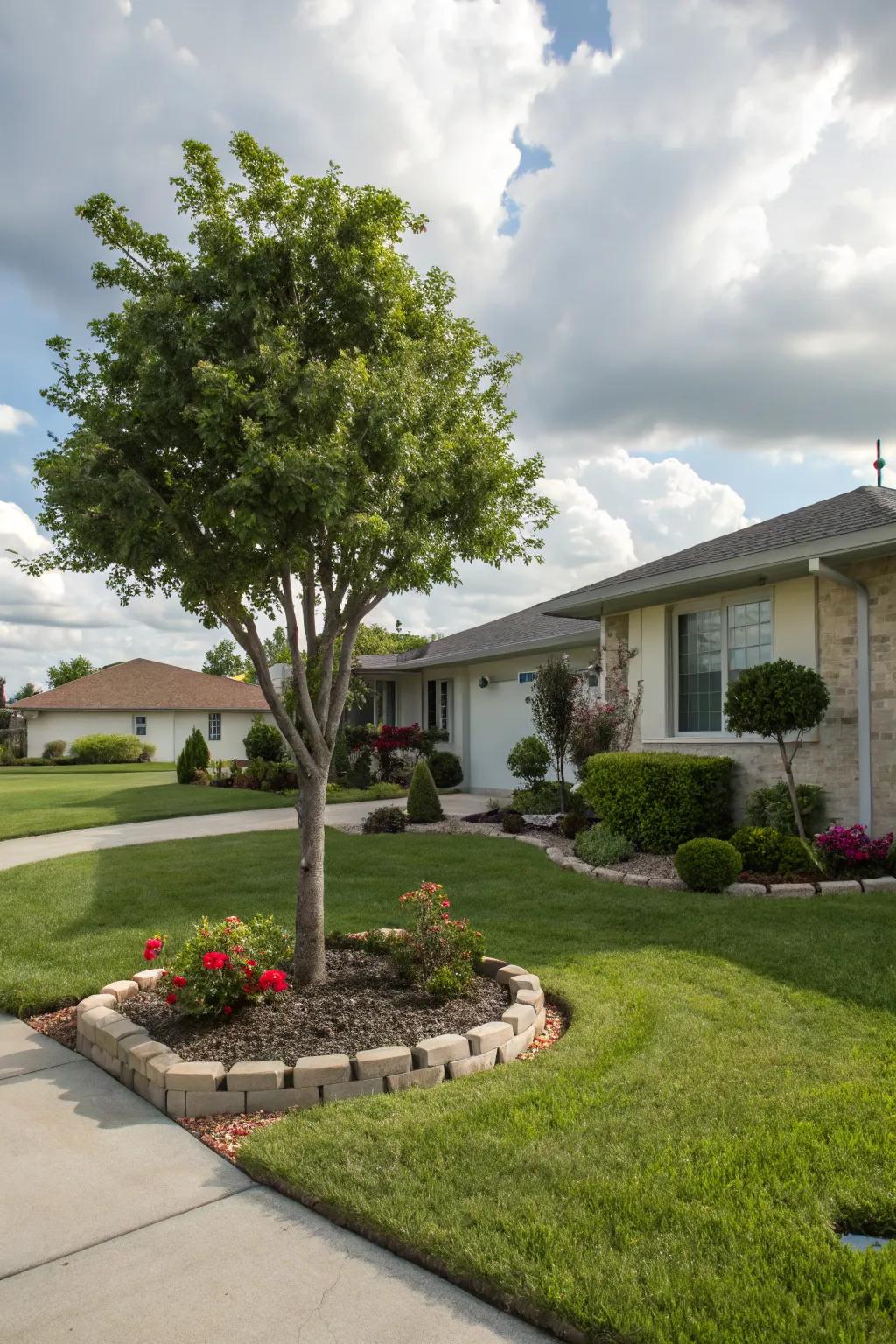 Make an impact with a small ornamental tree.
