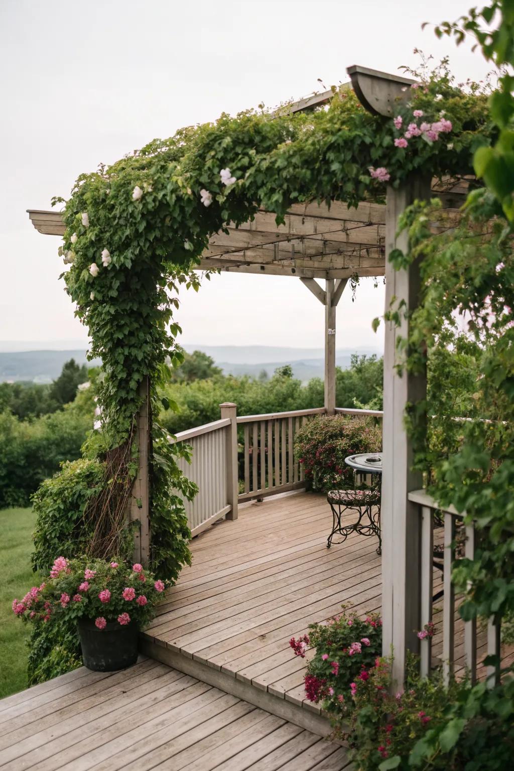 A pergola provides shade and a touch of elegance to your deck.