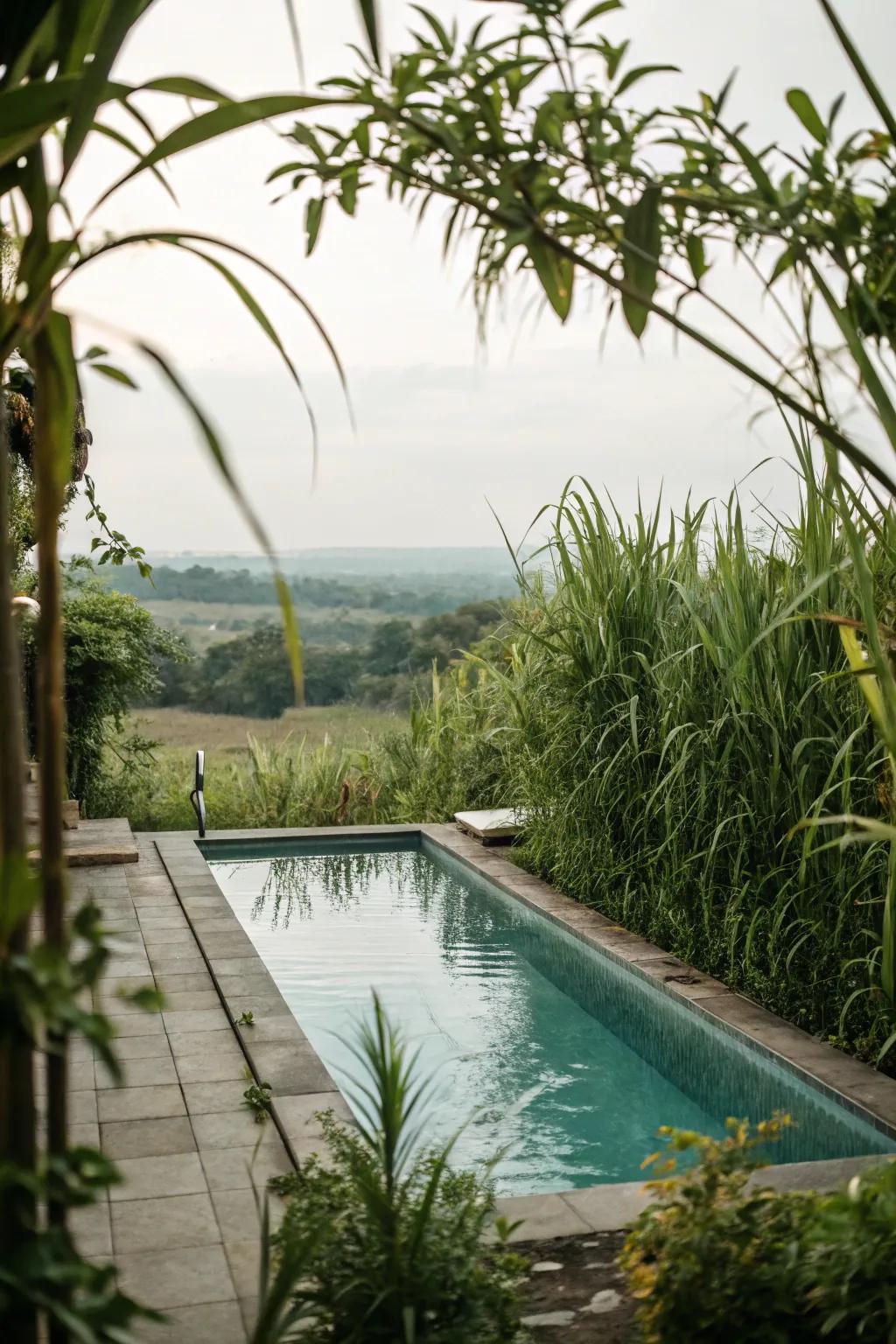 Create a private haven with lush greenery.