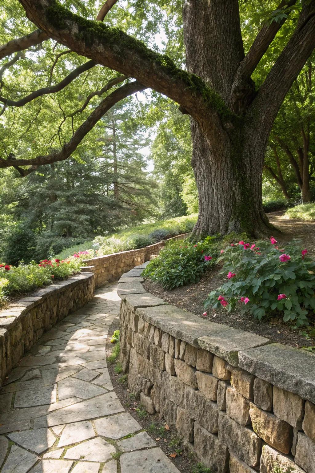 A stone wall beautifully frames and highlights a majestic tree.