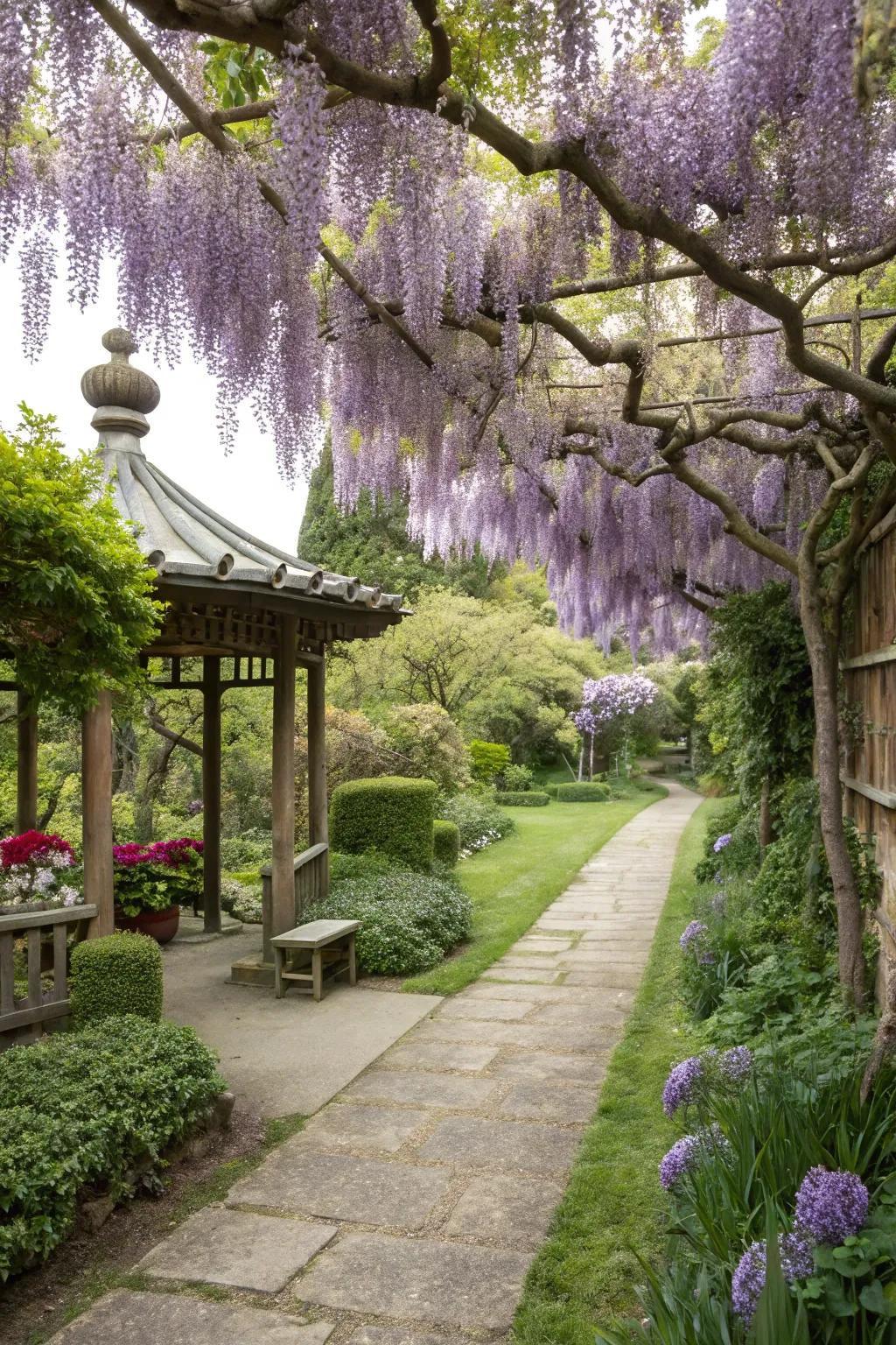 A garden utilizing feng shui principles with strategically placed wisteria.