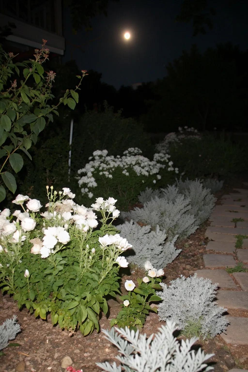 A garden that comes alive under the moon's gentle gaze.