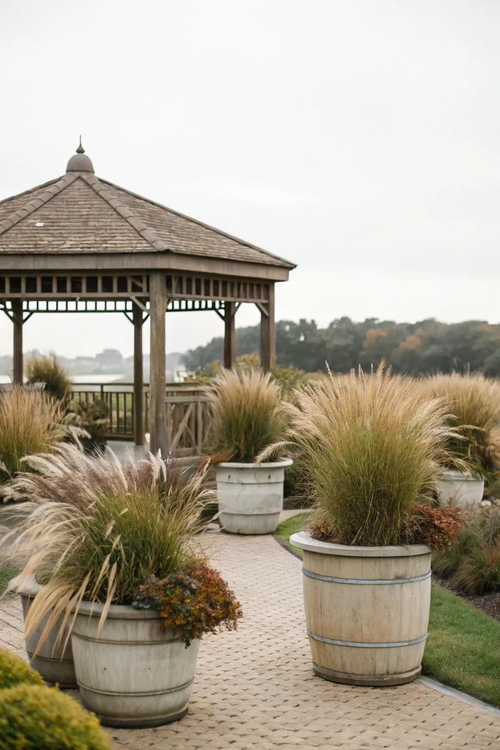 Ornamental grasses provide a natural and breezy aesthetic.