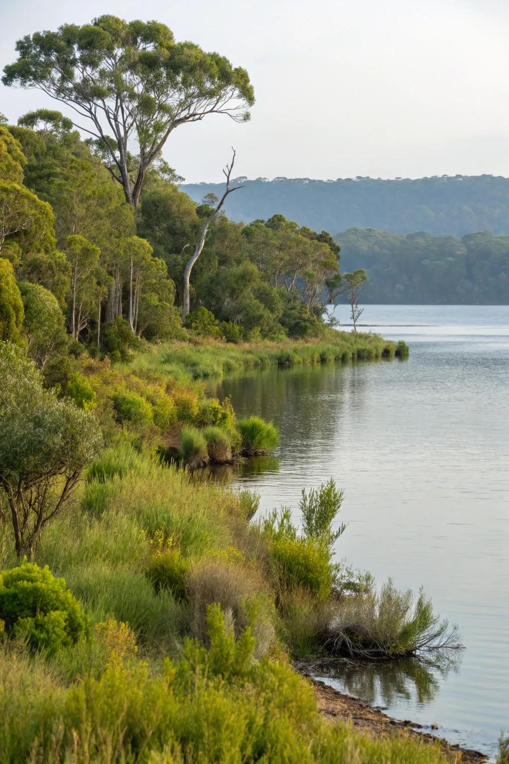 Native shrubs and trees stabilize shorelines and support wildlife.