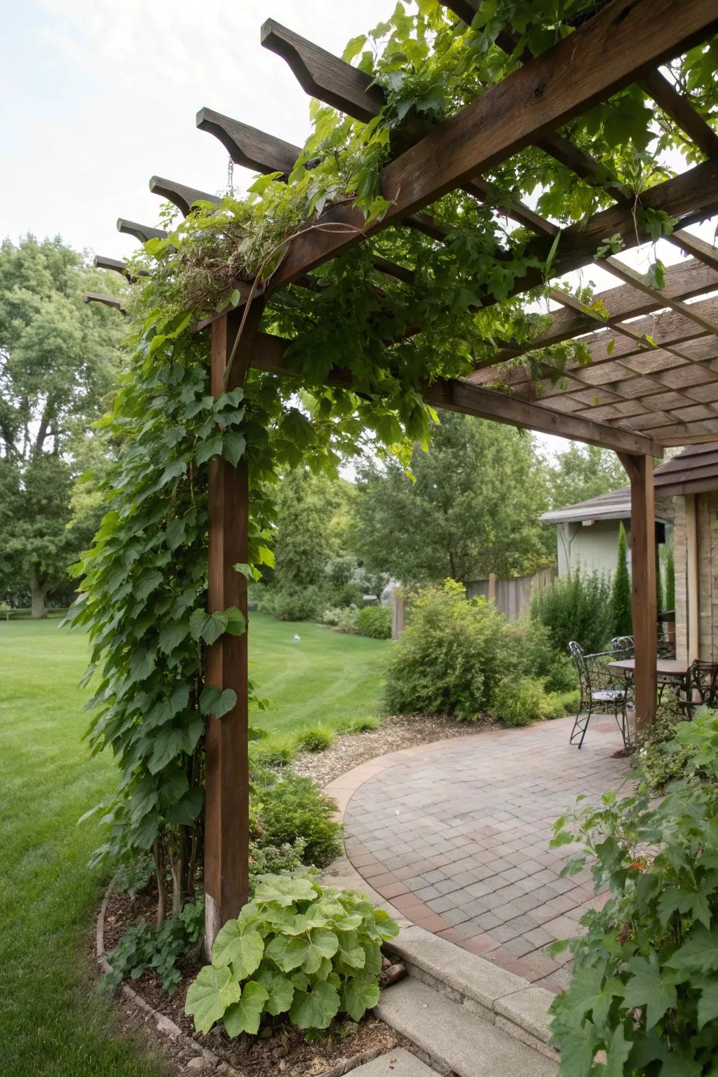 A stylish pergola providing shade and greenery in a Milwaukee backyard.