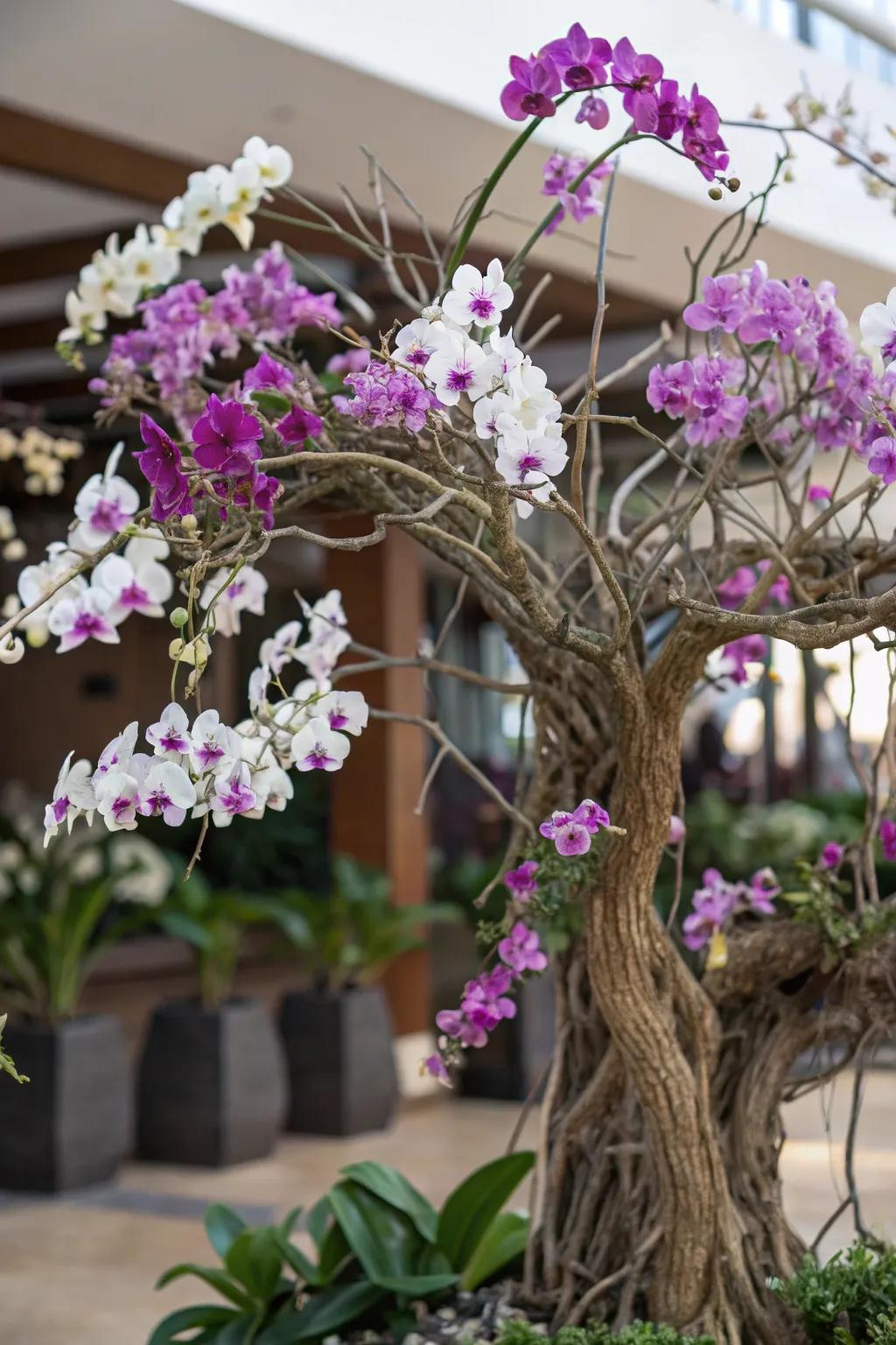 DIY orchid tree serving as a garden centerpiece.