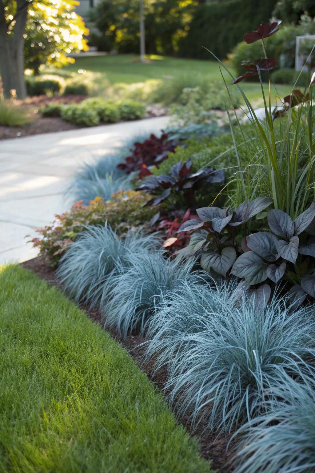 Complementary textures make this blue fescue planting pop.