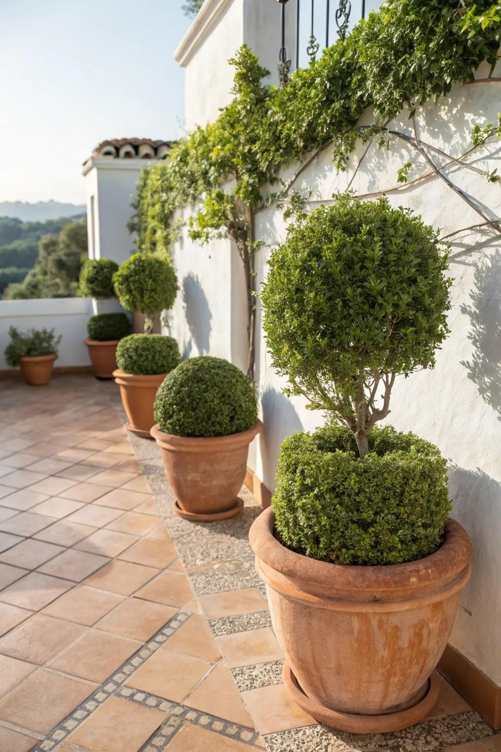 Capture the essence of a Mediterranean escape with terracotta.