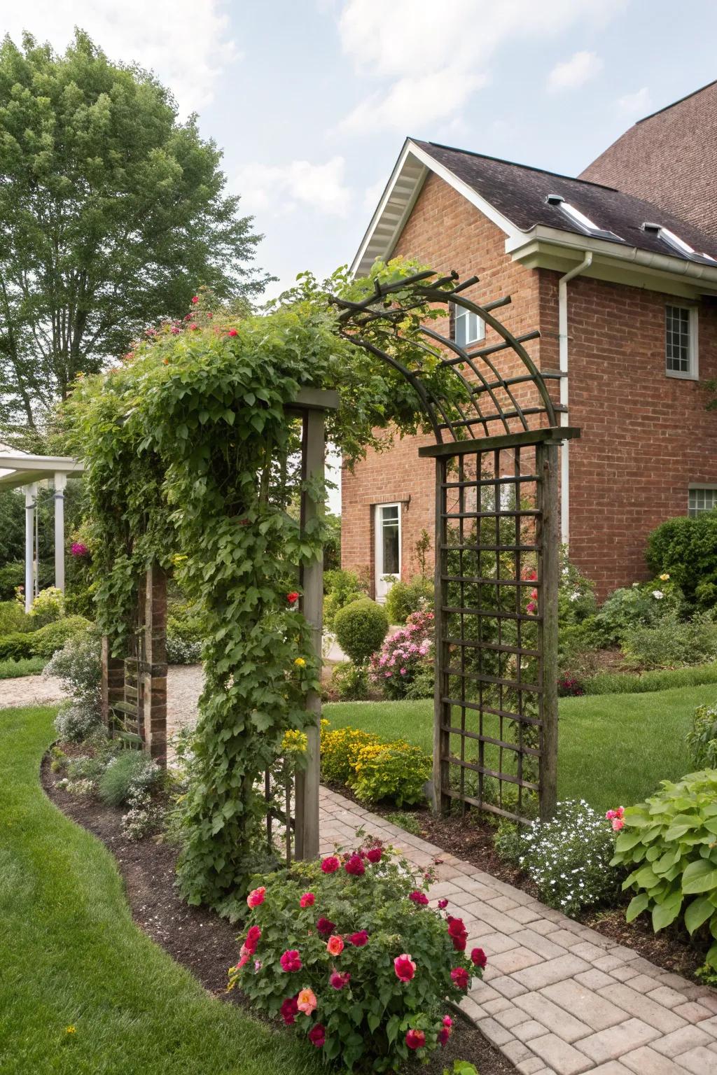 A trellis with climbing plants adds vertical interest to your garden.