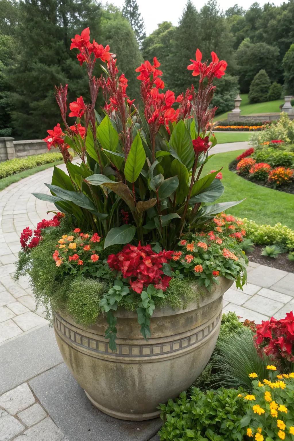 Canna lilies make stunning centerpieces in large container displays.