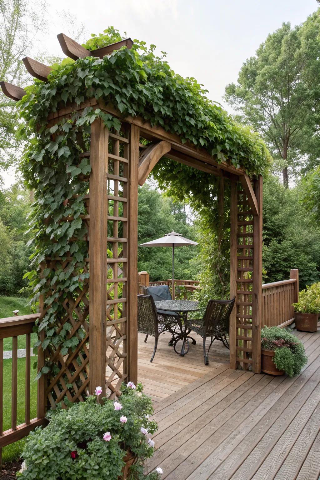 A trellis with vines combines beauty and privacy seamlessly.