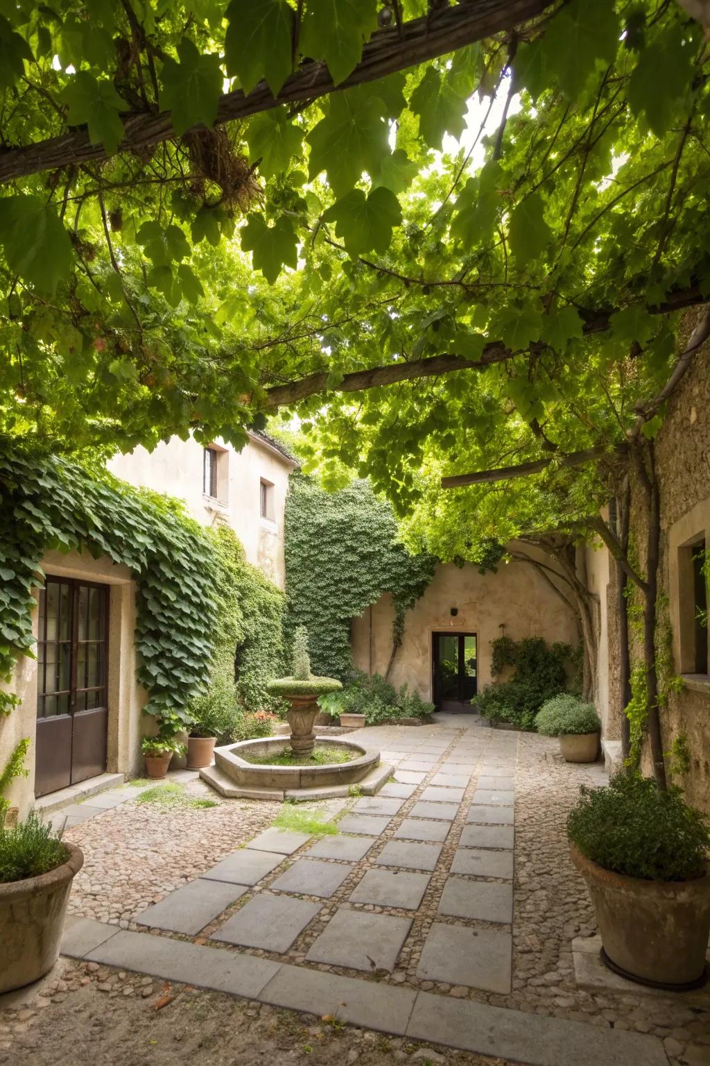 Create shade with a beautiful canopy.