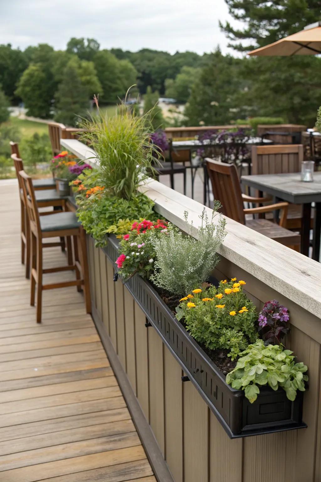 Planter boxes add a refreshing green element to bar tops.