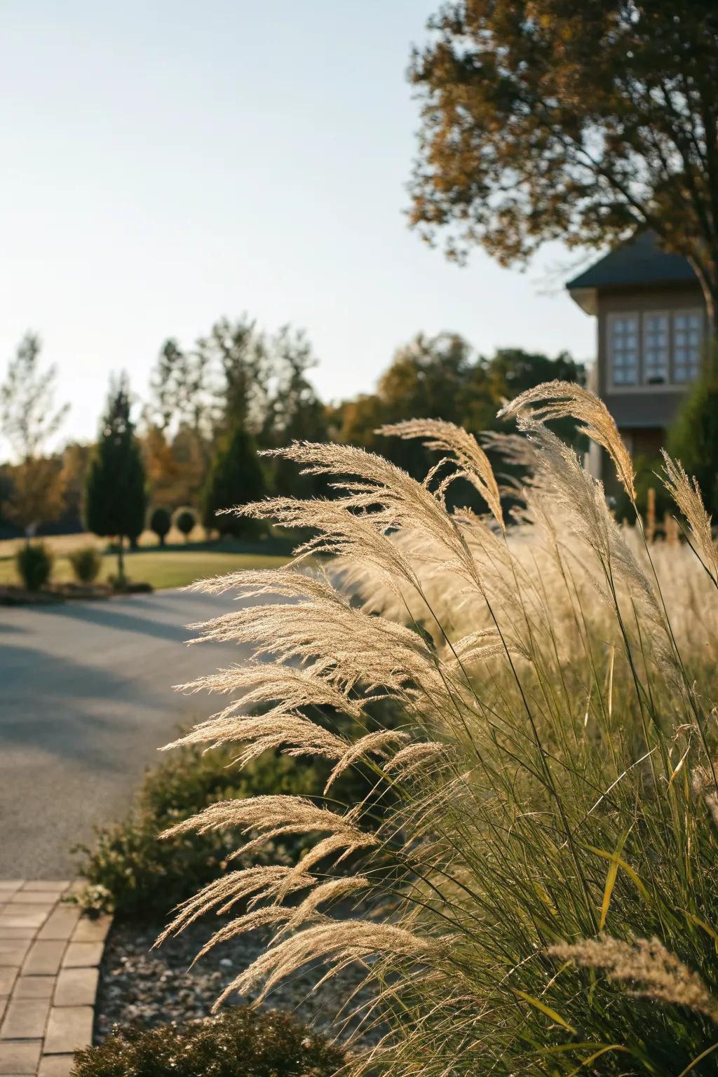 Ornamental grasses add movement and serenity as dividers.