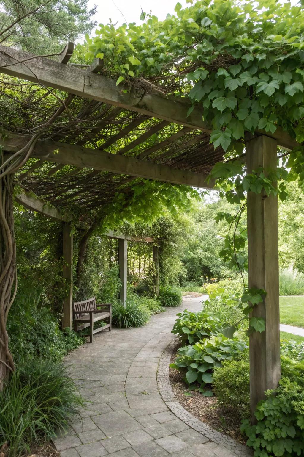 A pergola with climbing plants offers shade and privacy.